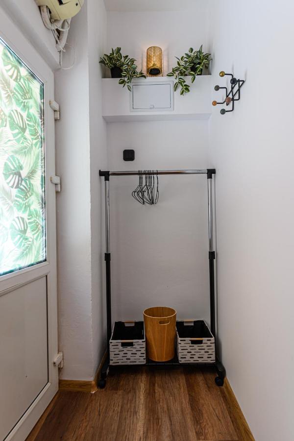 Backpacker'S Room 布拉索夫 外观 照片