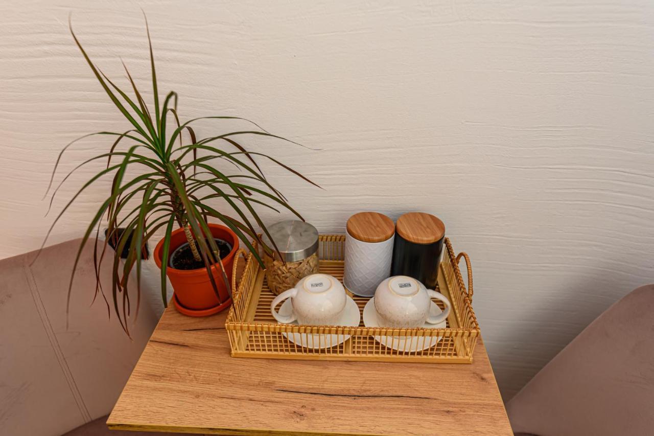 Backpacker'S Room 布拉索夫 外观 照片